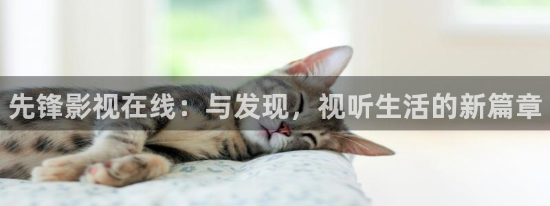 九九电影网影视大全免费追剧