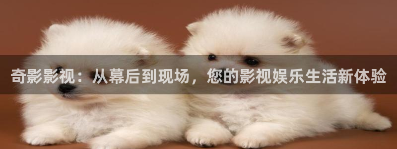 九九影院免费在线观看
