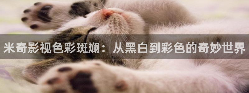 九九视频久久精品视频